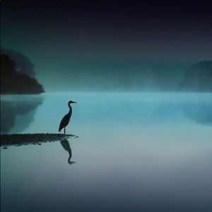 Meet your Posher, Ayshe